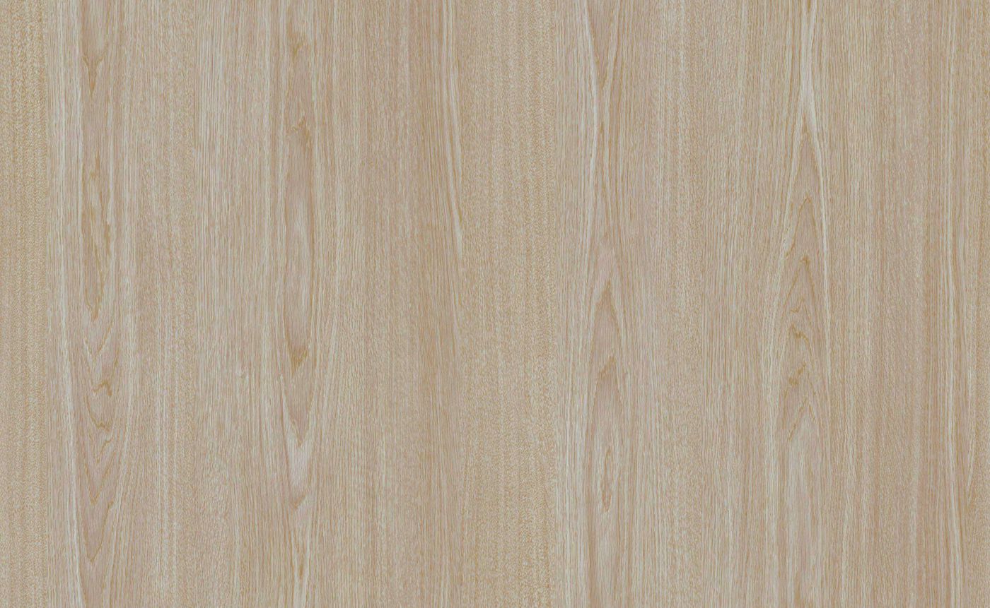 G2369-S North American oak