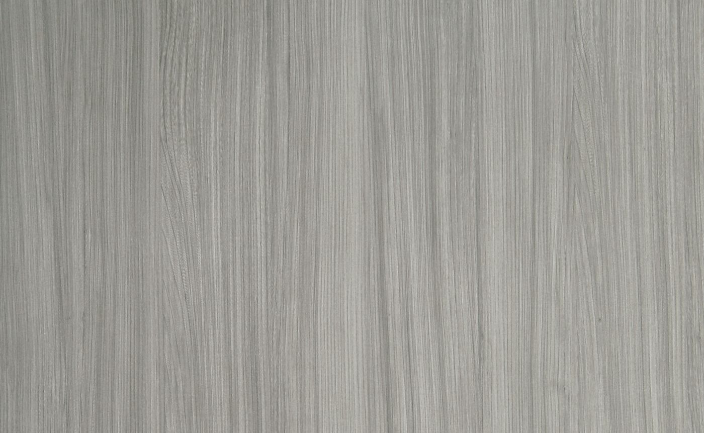 2252-MF European Grey Elm